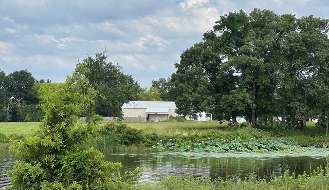 Lake house off of Lake Fork, one of the best bass fishing lakes in the country!
