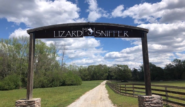 Lake House on private stocked lake with miles of trails and Horses!