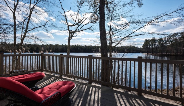 Lake House Waterfront Cabin Stunning views best home for bird watchers serenity