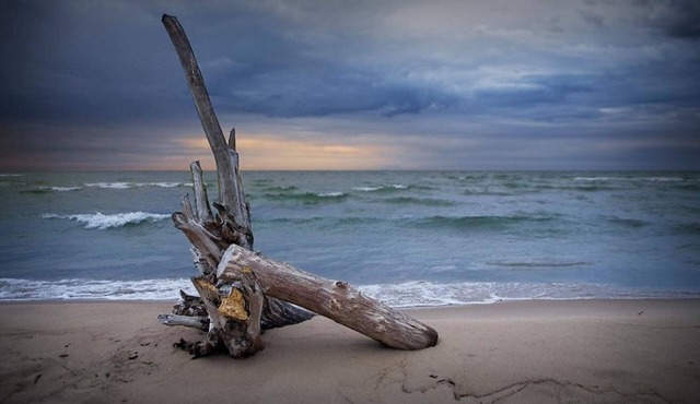 Lake Huron - 1 Bedroom 1 Bath Lake Front Cabin - Sleeps 4