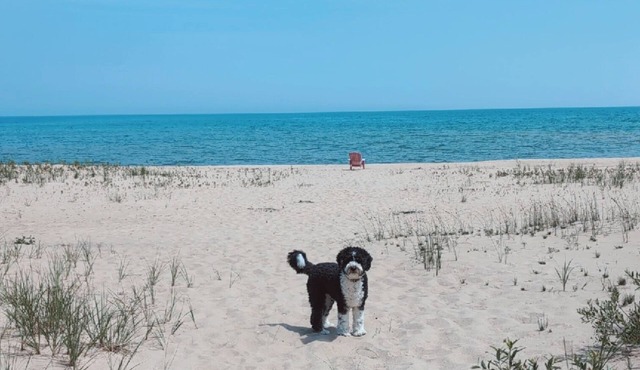 Lake Huron Retreat Sandy Private Lake Huron Beach Pet Friendly