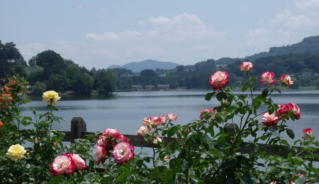 Lake Junaluska, Beautiful mountain, lake & golf course views
