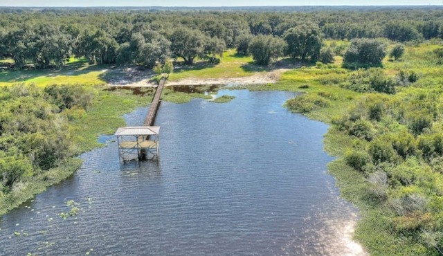 Lake Kissimmee Lakefront in 4500 acre State Forest
