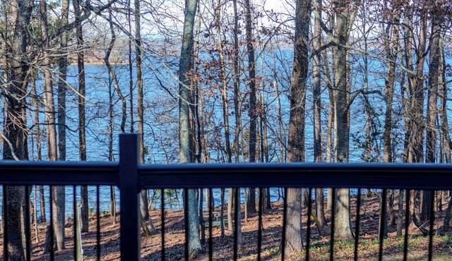 "Lake Lanier" Charming 1-bed house. Dock Access and Amazing Lake View! Private!