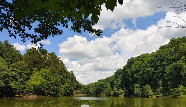 Lake Lodge -2 miles to downtown and Clemson University