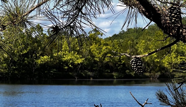 Lake Longbow-10 acre STOCKED lake, 80 acres, 4-wheeler/walking trails, swimming