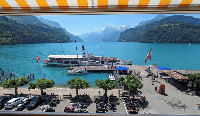 Lake Lucerne apt: spectacular lakeside view, central, family friendly