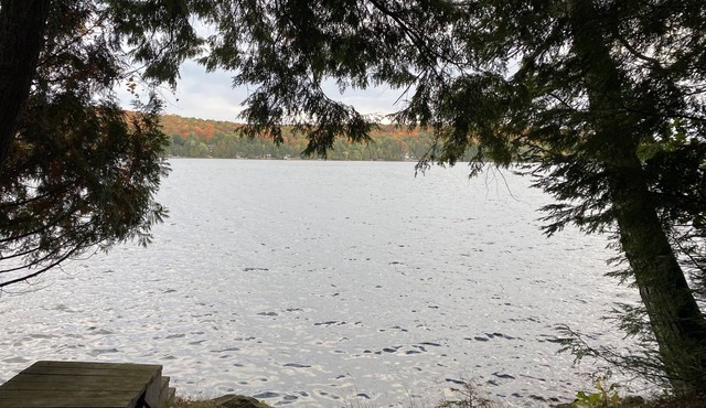 Lake Lucerne Family Getaway, private setting close to town