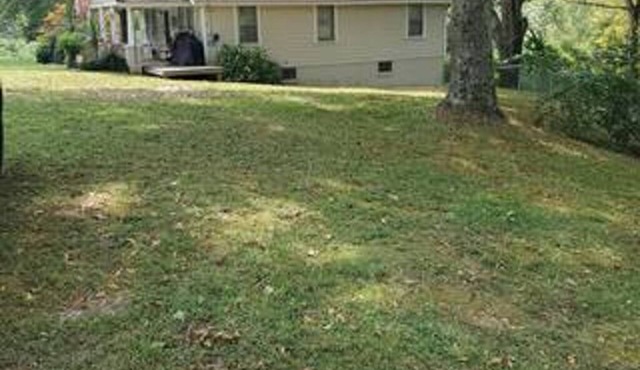 Lake Lure Mountain Bungalow - Pet Friendly. Cozy home with fenced in yard!