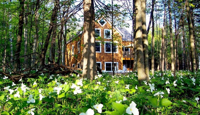 Lake Michigan Bluff Home on Tunnel of Trees with Game Room and Views