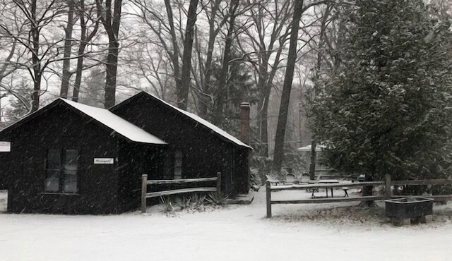 Lake Michigan Log Cabin #4