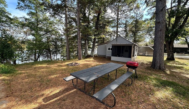 Lake Nokomis 1BD/1Bath Lakeside Cabin - Cabin #2