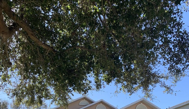 Lake Nona Home Near Medical City