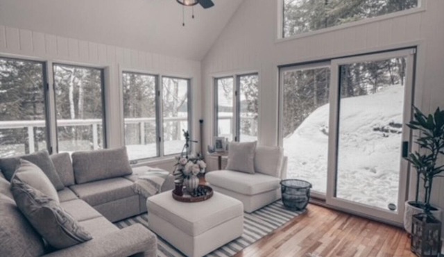 Lake of Bays 4bdrm Water Front Family Oasis! End Of The Road, Ultimate Privacy.