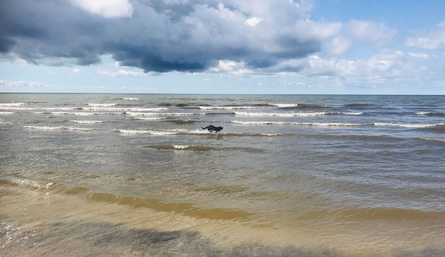 Lake Ontario Beach House Getaway-House #2