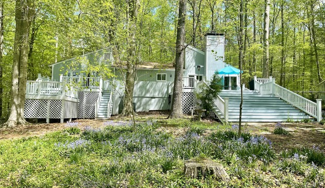 Lake Overlook Retreat - 5 acre nature preserve near the Eno River, UNC & Duke