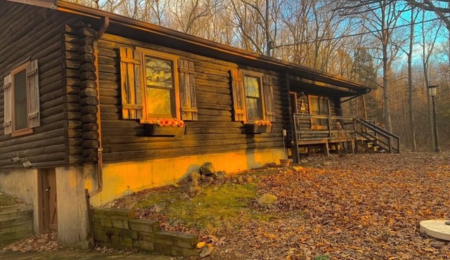 Lake Road Log Cabin A — Million Dollar Ozark view!