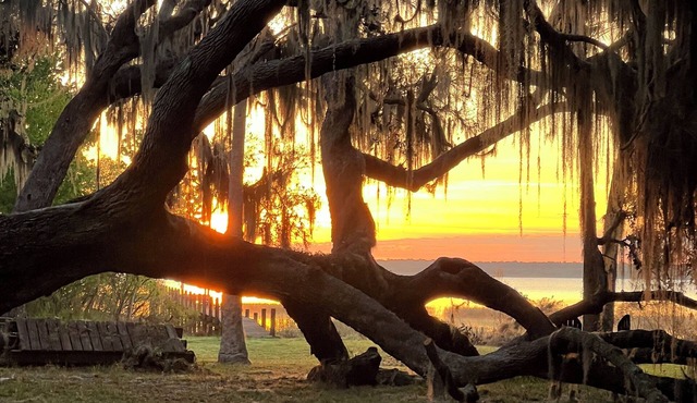 Lake Rosalie Retreat