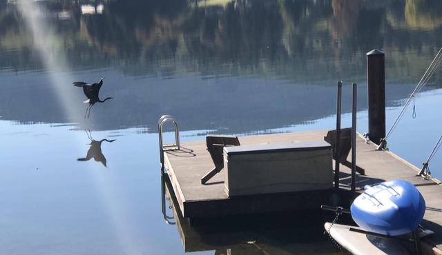 Lake Samish Getaway close to Galbraith Mountain, Chuckanut & Historic Fairhaven