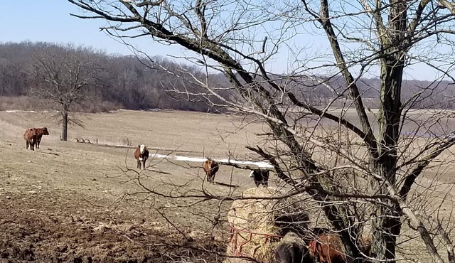 LAKE SHELBYVILLE KIMBLE'S FARMHOUSE. SLEEPS 9