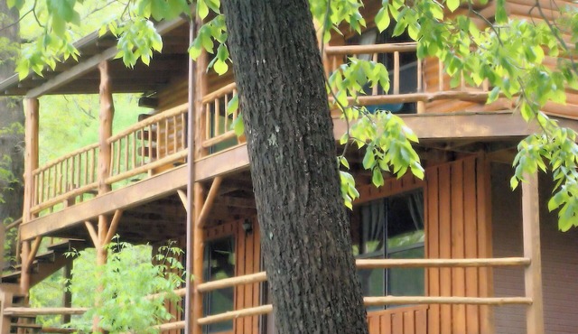 Lake Shore Cabin on Beaver Lake Waterfront with Boat Dock w/Slips