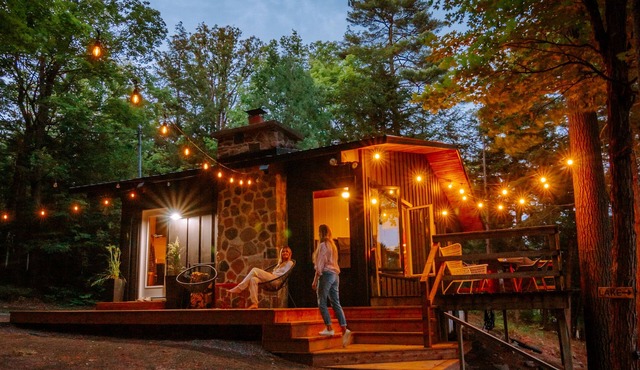 Lake-side newly-renovated stylish cottage - pet friendly!