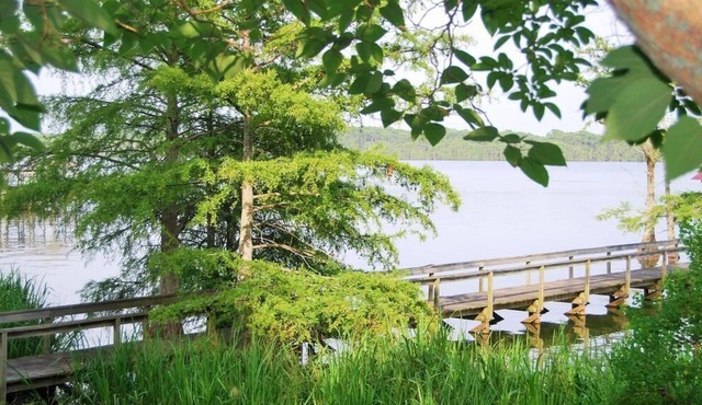 Lake St John Tranquil Escape