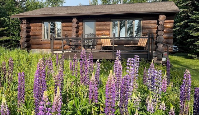 Lake Superior lakefront log cabin, forest, sauna, gazebo, peaceful retreat