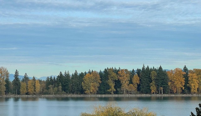 Lake Tapps 2bdrm NEW Apt View of Lake Lake access to 2 waterfront parks & Launch