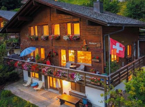 Lake Thun Alps Scenic Views and Concierge by SwissHut