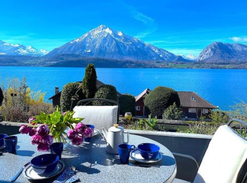 Lake Thun Alps Scenic Views and Concierge by SwissHut