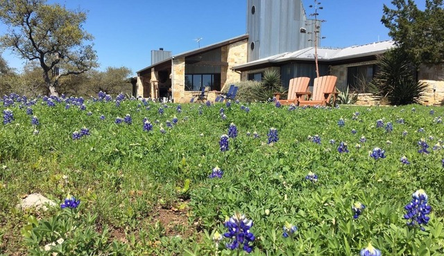 Lake Travis Waterfront, Pool, Pool Table, Shuffleboard, Ping Pong, Sleeps 25