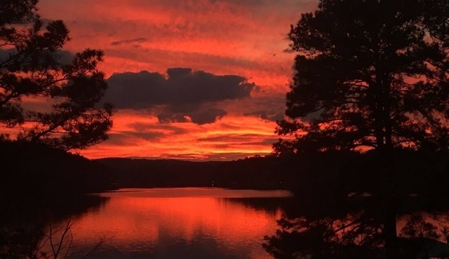 Lake Tuscaloosa Views.
