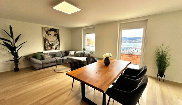 Lake view apartment in Wollishofen