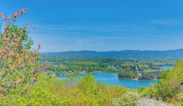 Lake-View Condo with Covered Deck in Hiawassee!