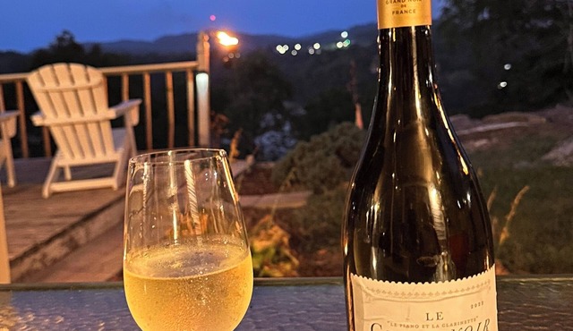 Lake View Home, Fire Pit, Grill, Fireplace, 5 minutes to boat ramp