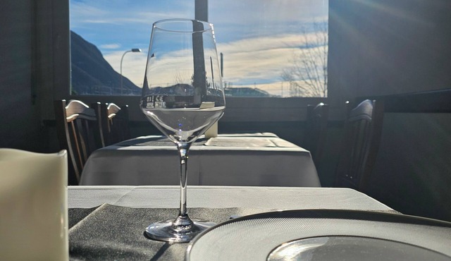 LAKE VIEW - LAKE VIEW LUGANO Cozy, intimate, pets allowed