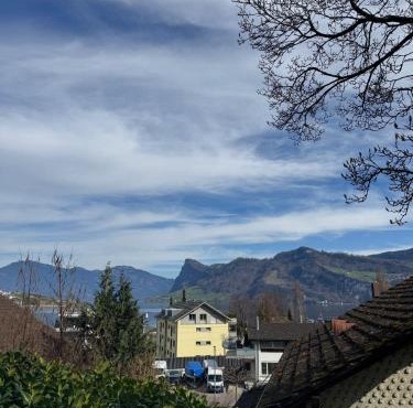 Lake View near Lucerne