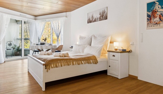 Lake View Studio I See – Mountain View I 45" Smart TV, shower, elevator, parking