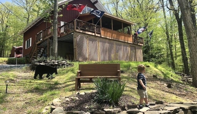 Lake Wallenpaupack, Poconos Hilltop Haven with children’s play area and 5 kayaks