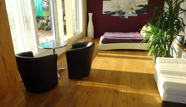 Lake Zurich, Rapperswil, Switzerland, Uster, Wetzikon, Zurich, St. Gallen, Schwyz