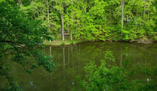 Lakefont-Nestled in Nirvana