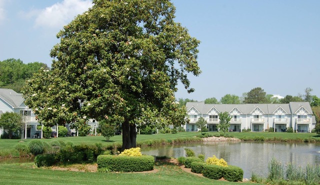 Lakefront 3 bedroom townhouse in quiet community with pool
