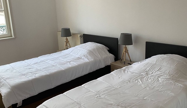 Lakefront apartment and walks