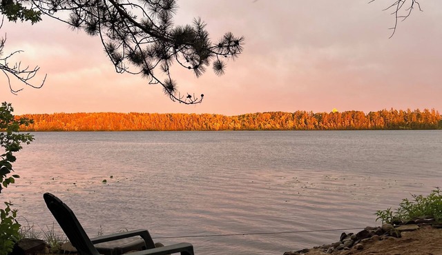 Lakefront Beach Bungalow - Retreat & Relax - Kayaks, Fire pit, Tree Swings!