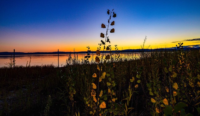 Lakefront Boho Inspired Bungalow