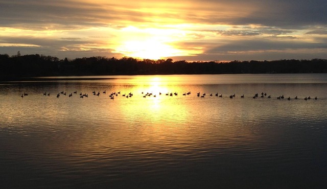 Lakefront Cabin - 6 Bedrooms, 2.5 baths.