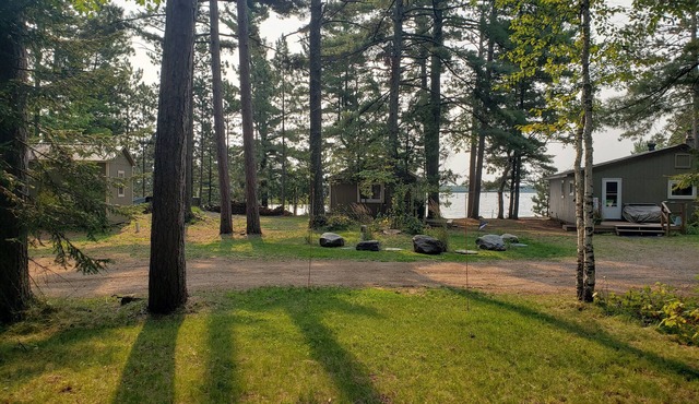 Lakefront Cabin on Island Lake
