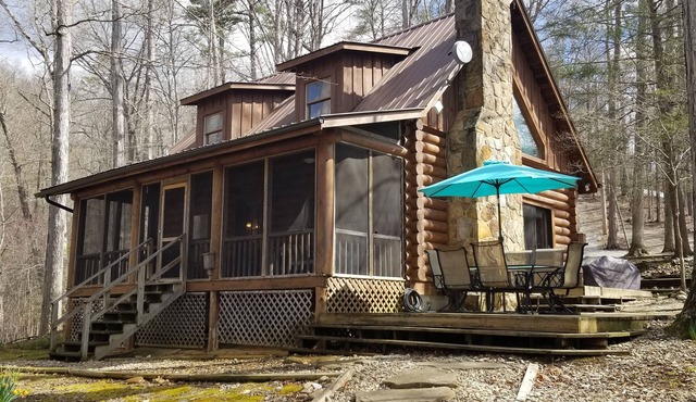 Lakefront Cabin with dock and gentle slope on Norris Lake