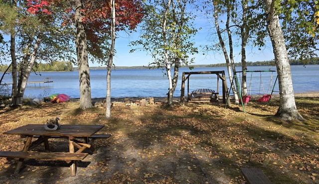 Lakefront Charming 2-bedroom cottage on Douglas Lake with WiFi access